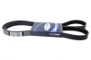 Ремень TOYOPOWER 6PK1016 (5340.3701170-11)